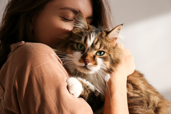 Beneficios De Tener Un Gato Para La Salud