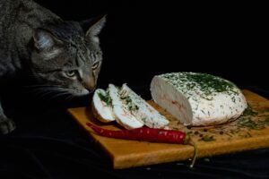 Alimentos comunes tóxicos para los gatos