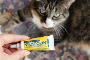 Neosporin en gatos