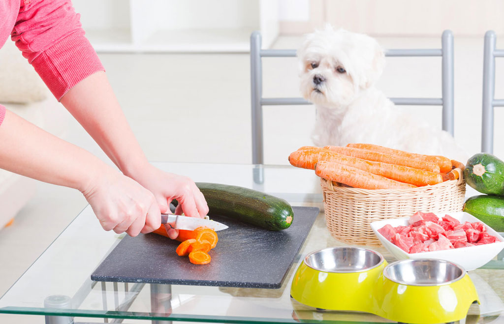 5 recetas caseras de comida para perros en olla de cocción lenta