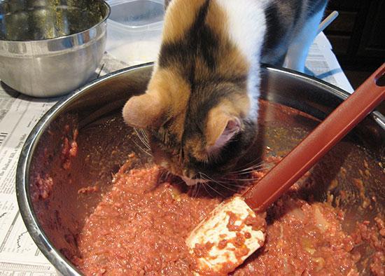 ¿Es la comida cruda para gatos realmente una buena opción?