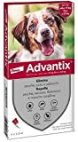 Advantix Spot-on para Perros de 10Kg a 25Kg, 4 x 2,5ml